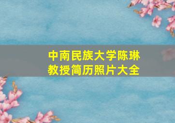 中南民族大学陈琳教授简历照片大全