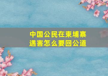 中国公民在柬埔寨遇害怎么要回公道