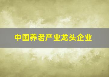 中国养老产业龙头企业