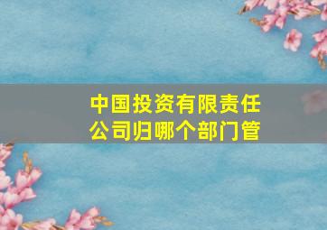 中国投资有限责任公司归哪个部门管