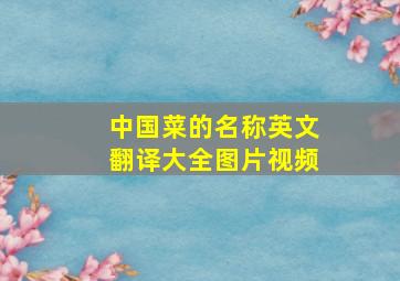 中国菜的名称英文翻译大全图片视频