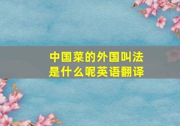 中国菜的外国叫法是什么呢英语翻译