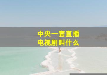 中央一套直播电视剧叫什么