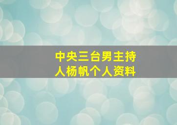 中央三台男主持人杨帆个人资料