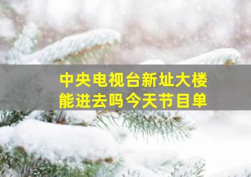 中央电视台新址大楼能进去吗今天节目单