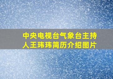 中央电视台气象台主持人王玮玮简历介绍图片