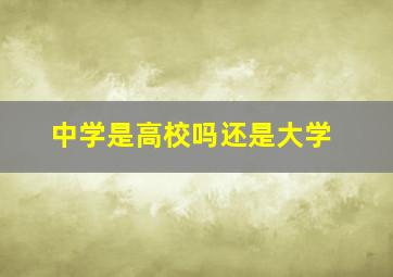 中学是高校吗还是大学