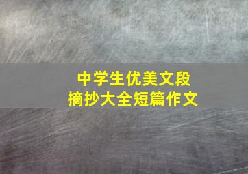 中学生优美文段摘抄大全短篇作文