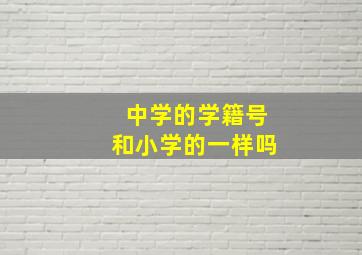 中学的学籍号和小学的一样吗