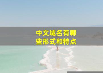 中文域名有哪些形式和特点