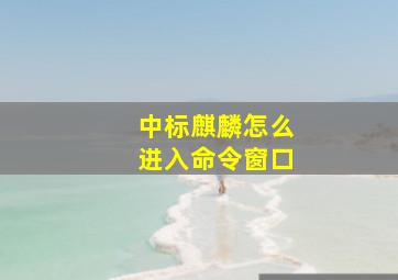 中标麒麟怎么进入命令窗口