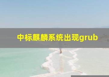 中标麒麟系统出现grub