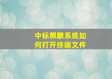 中标麒麟系统如何打开终端文件