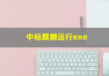 中标麒麟运行exe