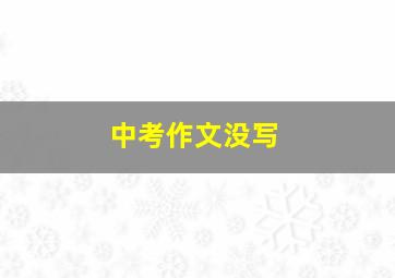 中考作文没写