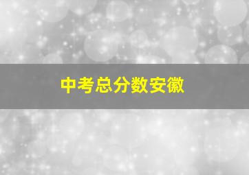 中考总分数安徽