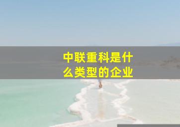 中联重科是什么类型的企业