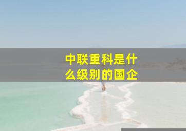 中联重科是什么级别的国企