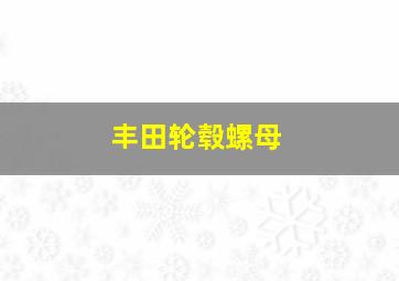 丰田轮毂螺母