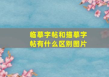 临摹字帖和描摹字帖有什么区别图片