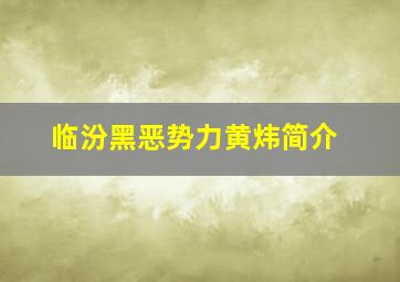 临汾黑恶势力黄炜简介