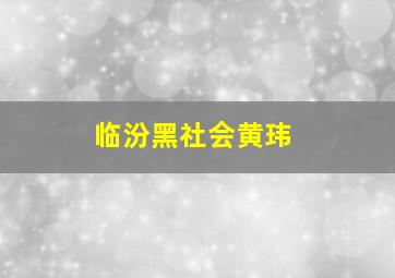 临汾黑社会黄玮