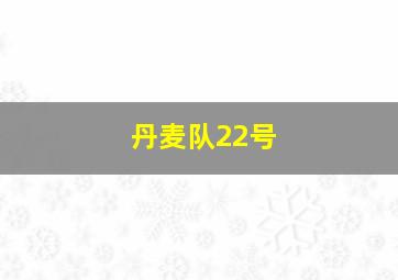 丹麦队22号