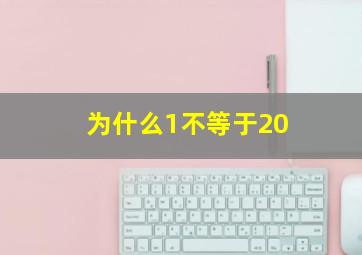 为什么1不等于20