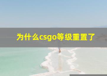 为什么csgo等级重置了