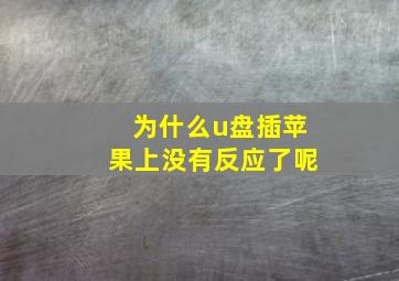 为什么u盘插苹果上没有反应了呢