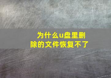 为什么u盘里删除的文件恢复不了