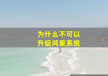 为什么不可以升级鸿蒙系统