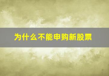 为什么不能申购新股票