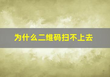 为什么二维码扫不上去