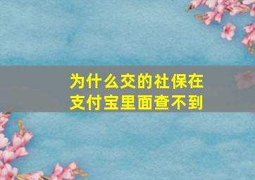 为什么交的社保在支付宝里面查不到