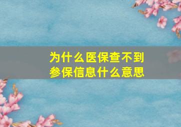 为什么医保查不到参保信息什么意思