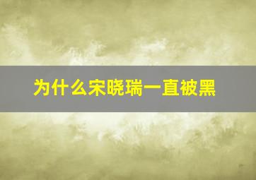 为什么宋晓瑞一直被黑