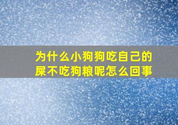 为什么小狗狗吃自己的屎不吃狗粮呢怎么回事