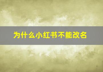 为什么小红书不能改名