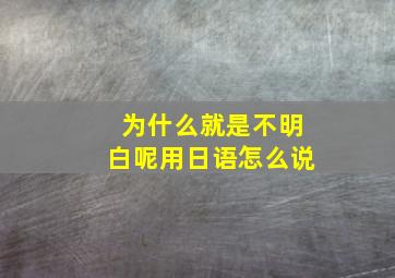 为什么就是不明白呢用日语怎么说