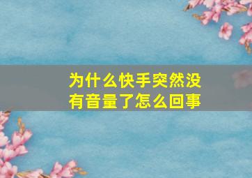 为什么快手突然没有音量了怎么回事