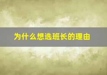 为什么想选班长的理由