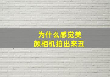 为什么感觉美颜相机拍出来丑