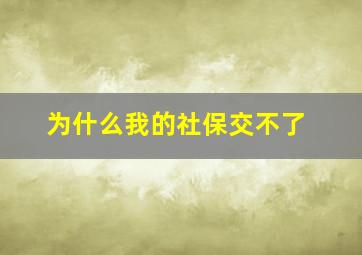 为什么我的社保交不了