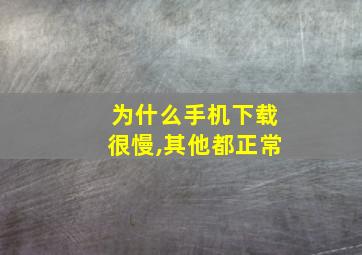 为什么手机下载很慢,其他都正常