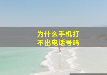 为什么手机打不出电话号码