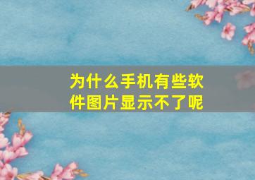 为什么手机有些软件图片显示不了呢