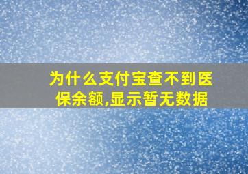 为什么支付宝查不到医保余额,显示暂无数据