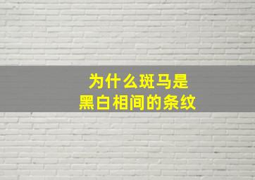 为什么斑马是黑白相间的条纹