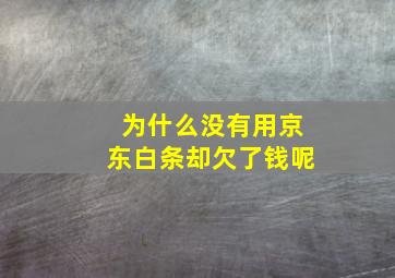 为什么没有用京东白条却欠了钱呢